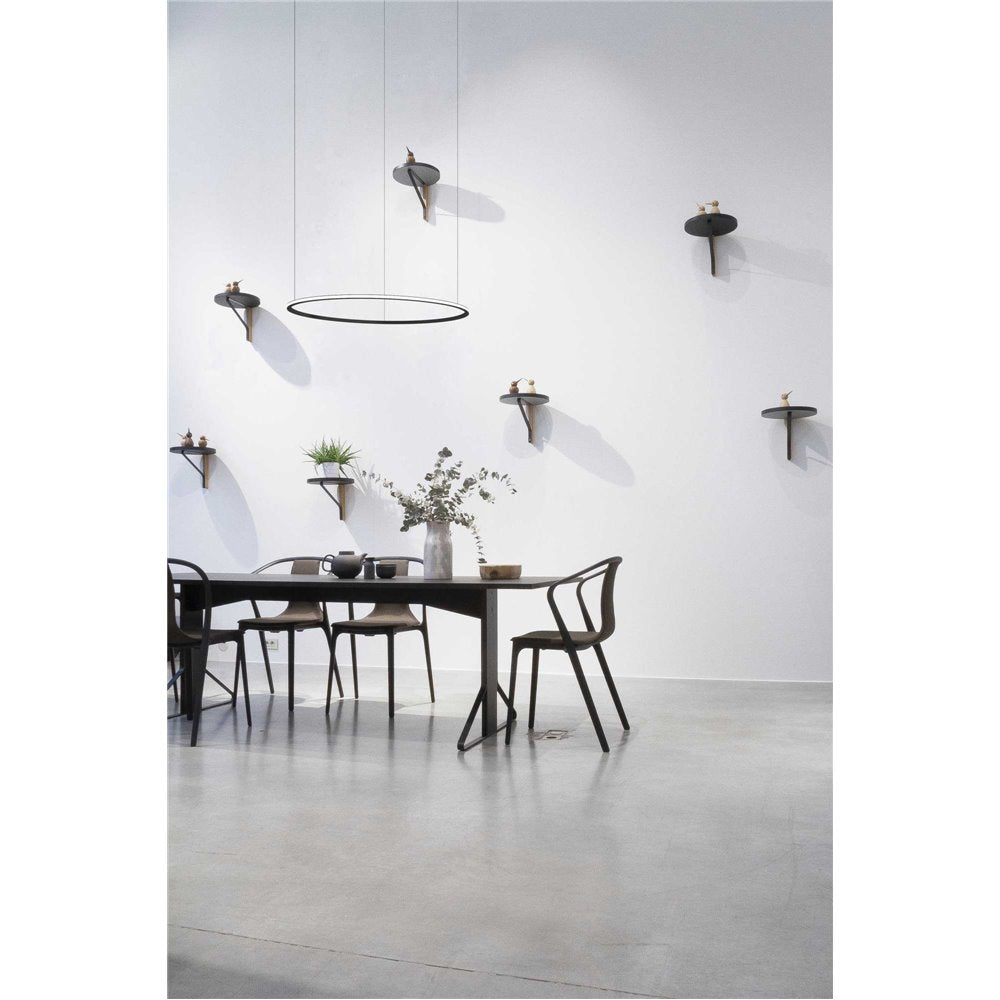 Lampa wisząca Ring Disk