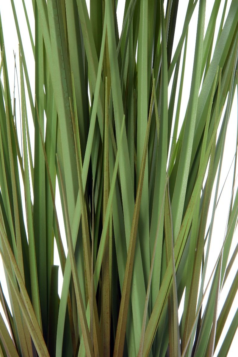 Dostosuj pionową trawę Quigley Flower do swoich potrzeb