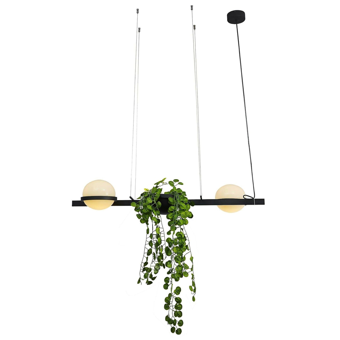 Lampa wisząca Elam Palma z czarnego metalu ze szklanymi kloszami, w środku doniczka