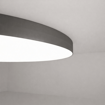 Plafon Duży / Lampa wisząca