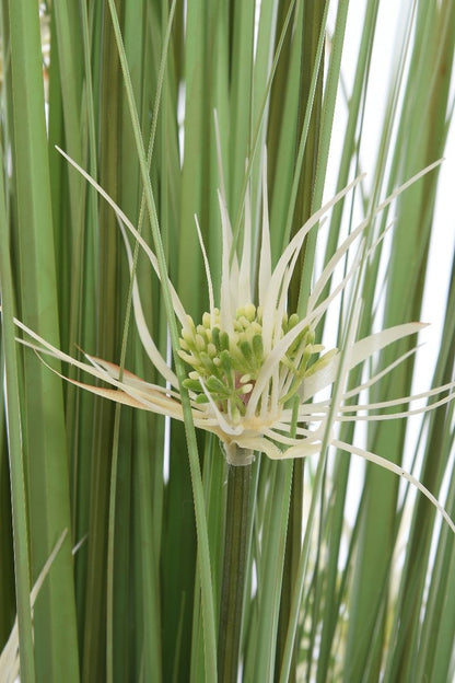 Zielony kolor abażuru dla trawy Quigley Flower